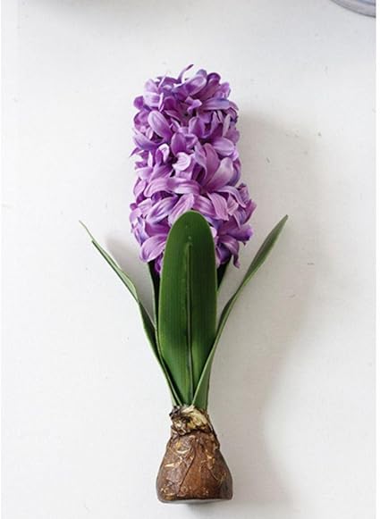 Amazon Lonngzhuan装飾シルク人工花7月4日ホーム装飾花と花輪お祝い パーティー用品ホーム ガーデンヒヤシンス パープル Na Lonngzhuan 造花