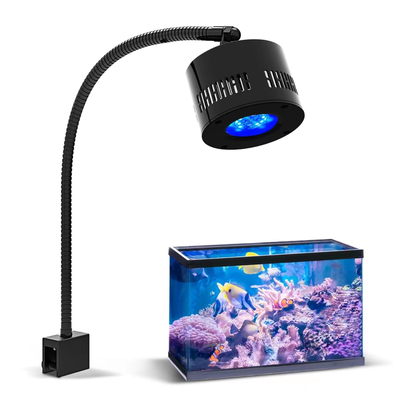 Lominie Aquarium Light Reef Coral Light with Smart Controller Dimming and Timer, Full Spectrum Fish Tank Light for 60cm Saltwater Reef Nano Aquarium