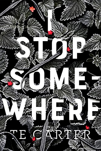 I Stop Somewhere