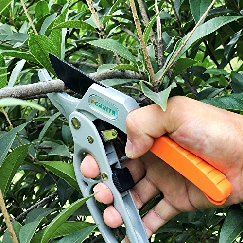 Morrita Ratchet Hand Pruning Shears Anvil Garden Clippers Tree Trimmers