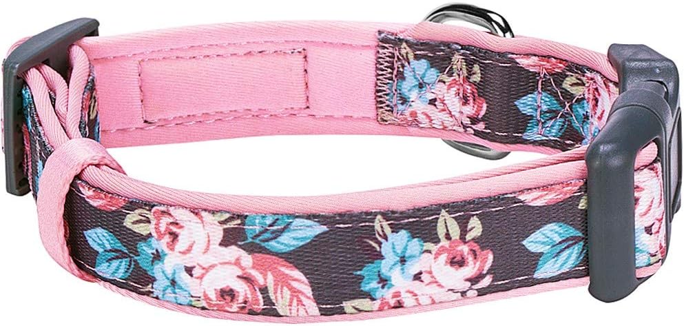 Blueberry Pet 7 Patterns Soft & Comfy Rose Flower Prints Girly Padded Adjustable Dog Collar, Large, Neck 18"-26" : Pet Supplies