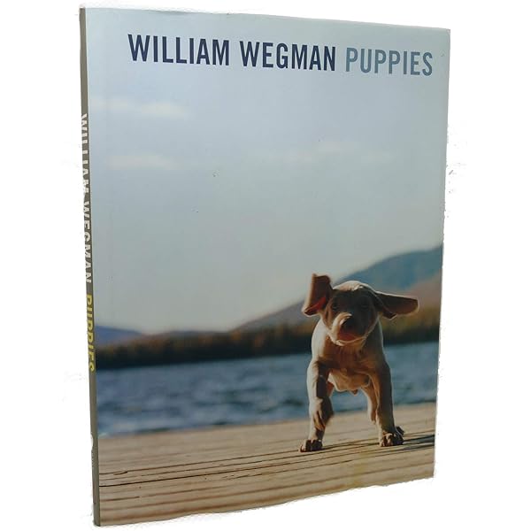 William Wegman Polaroids: Wegman, William: 9780810934801: Amazon