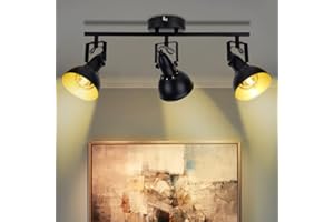 DLLT 3 Lights Ceiling Track Lighting Fixtures, Adjustable Ceiling Spotlight with Black Metal Lamp Shade, Track Light Kits Ind