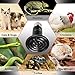 DaToo 150W Reptile Heat Lamp Bulb Infrared Ceramic Non-light Heat Lamp For Reptile Lizard Snake Turtle, 1 Yr Warranty