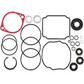 DearChan 70525 Pump Seal Kit for Hydro Gear BDP-10A PG/PJ/PE series pumps | Fit Cub Cadet Tank &amp; PRO X mowers. 24-Piece kit includes O-rings/lip seals/shims/housing seals. Replaces 105-6184/70525.