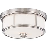 Minka Lavery 4365-84 Harbour Point Flush Mount, 2-Light, 120 Total Watts, 13.5-in H x 6.5-in W, Brushed Nickel