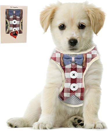 cheap puppy harness