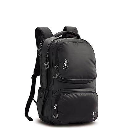 skybags ion 02