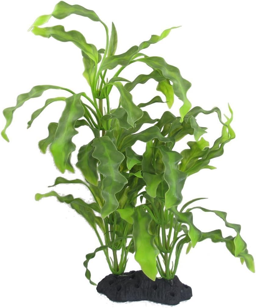Magtarum Natural Slk Green Aquarum Plant | Planted Aquarum, Slk