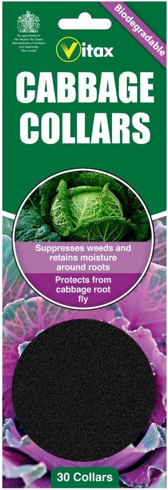Vitax Pack of 30 Biodegradeable Cabbage Collars - Protects Brassicas from Cabbage Rot Fly