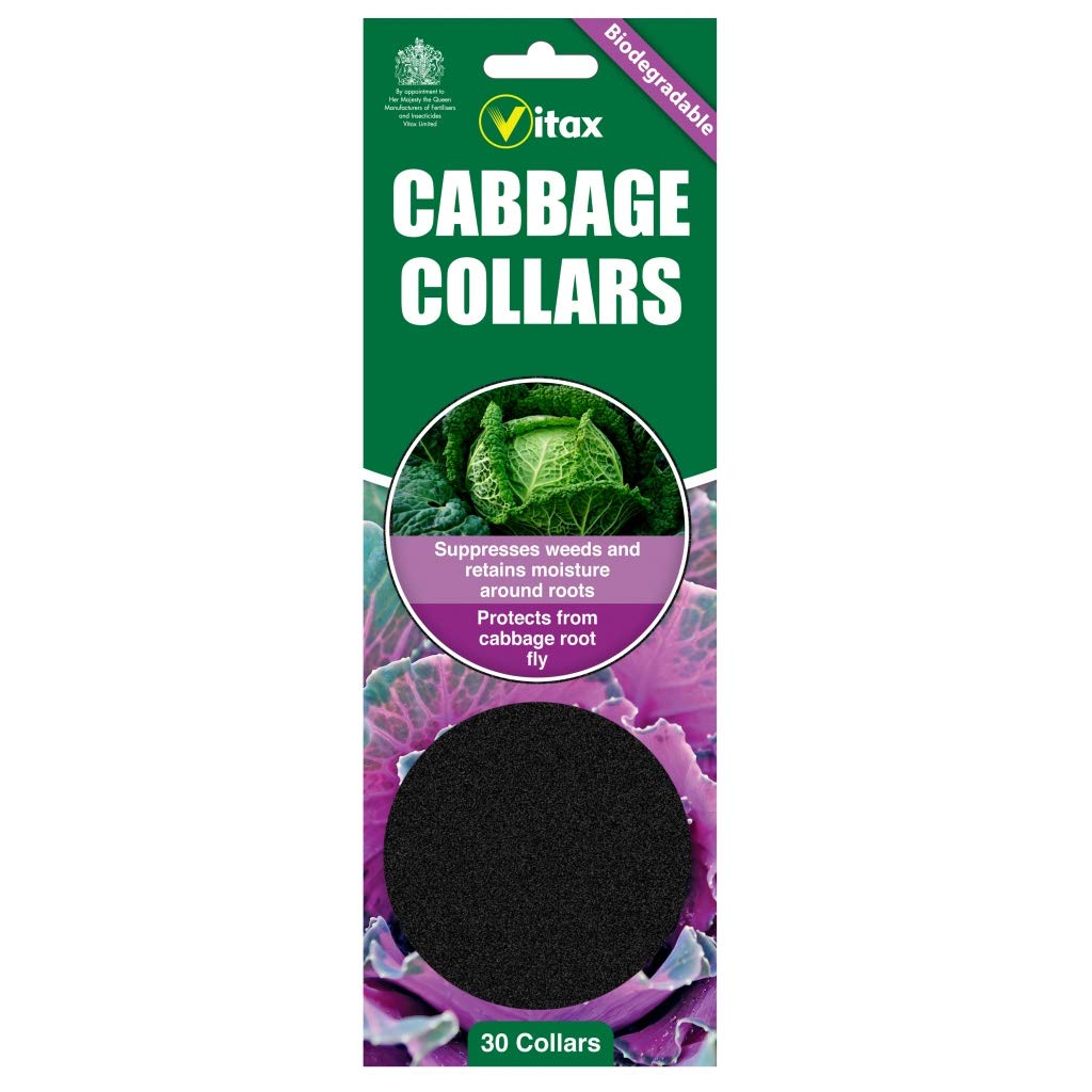 Vitax Pack of 30 Biodegradeable Cabbage Collars - Protects Brassicas from Cabbage Rot Fly