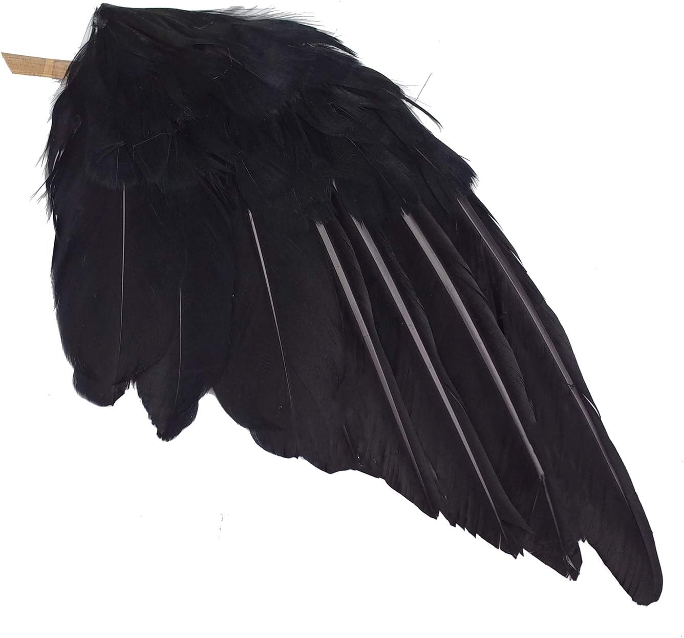 2-Pack Realistic Crows Lifesize Extra Large Handmade Black Feathered Crow for Halloween Decorations Birds, L (13 inch+12 inch) : Garden & Outdoor