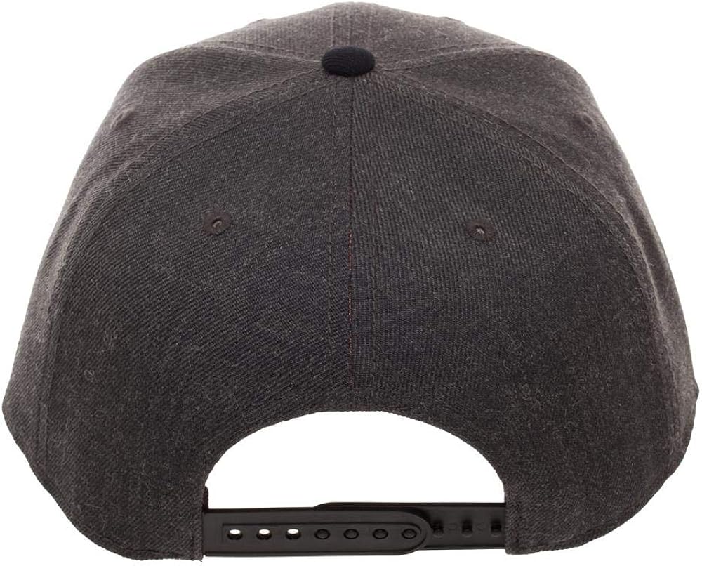 Jurassic Park Vintage Logo Snapback Hat with Pre-Curved Bill: Clothing