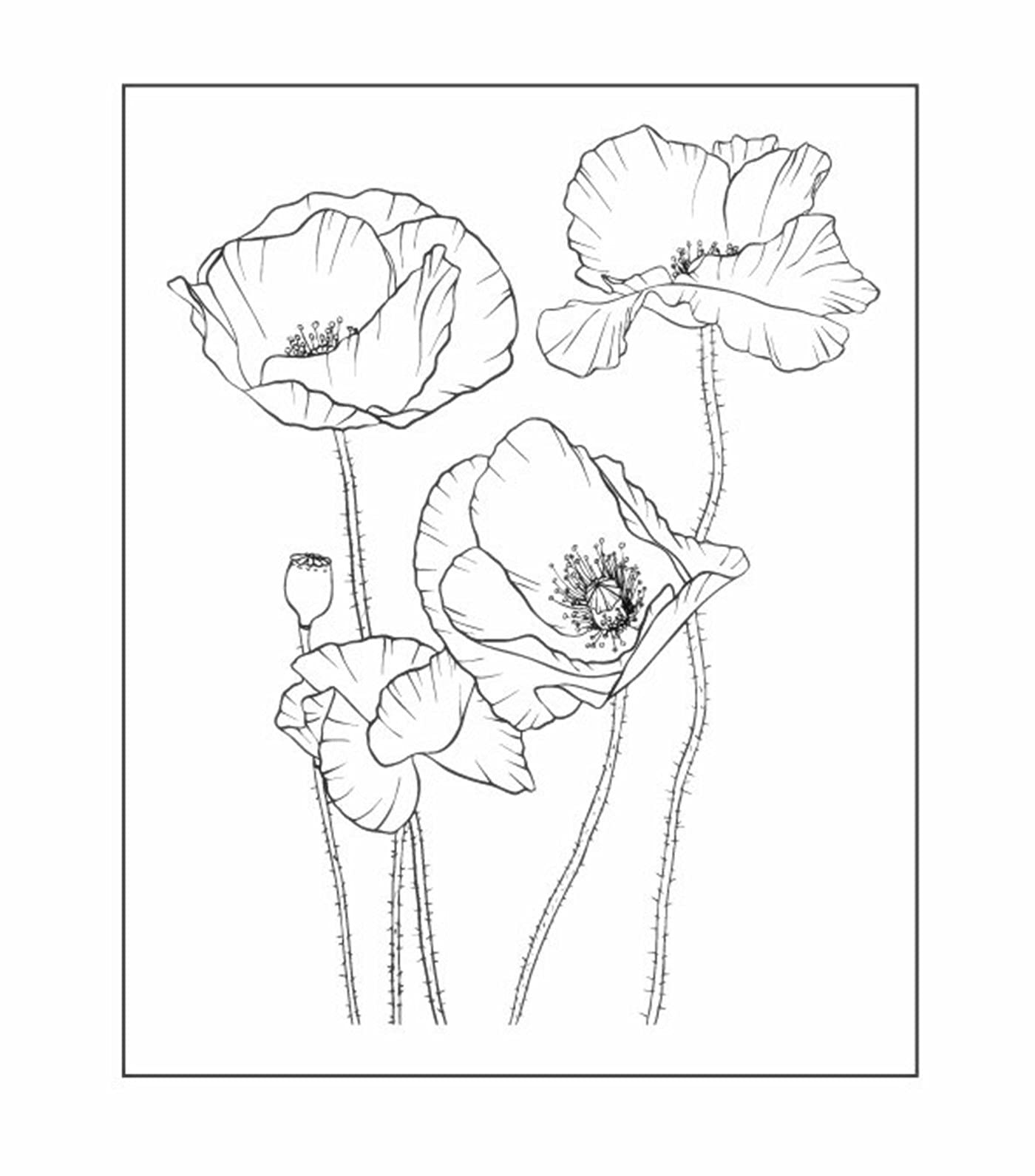 Arrietty Artful Flowers Poppy Budding Poppies Clear Stamp Seal Scrapbook Photo Album Decorative Card Making Clear Stamps — image 1