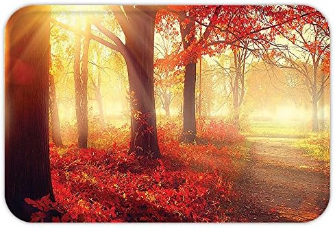 VROSELV Custom Door MatFall Decor Sun Beamthrough Misty Old Forest in Season Morning View Dreamy Scenic PictureWall Hanging Light Yellow and Orange