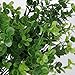 DTOL 2 x Artificial Plants,Plastic Greenery Shrubs UV Resistant Fake Outdoor Plants Plastic Shrubs for Farmhouse Home Garden Wedding Indoor Outside Decor (Green)