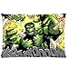 Christmas gift Marvel Comics Superhero Series Beware of Incredible Hulk Standard Zippered Pillowcase Cover 20