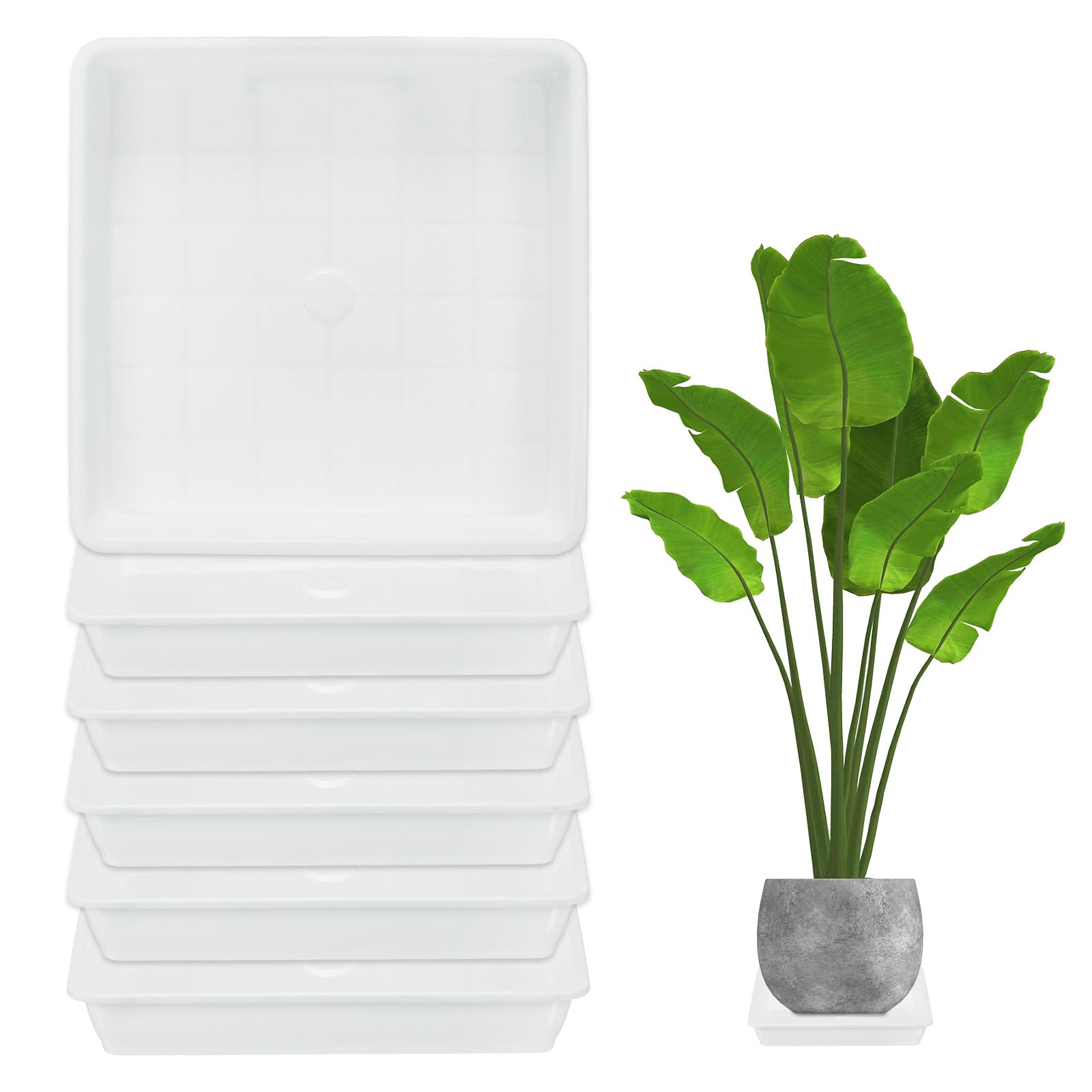 M METERXITY 6-Pack Plant Pot Saucers, 6 Inch 15cm Plastic Square Flower Drip Tray, Pot No Holes Durable Plant Trays for Pots Base Indoors/Outdoors Plants [White]