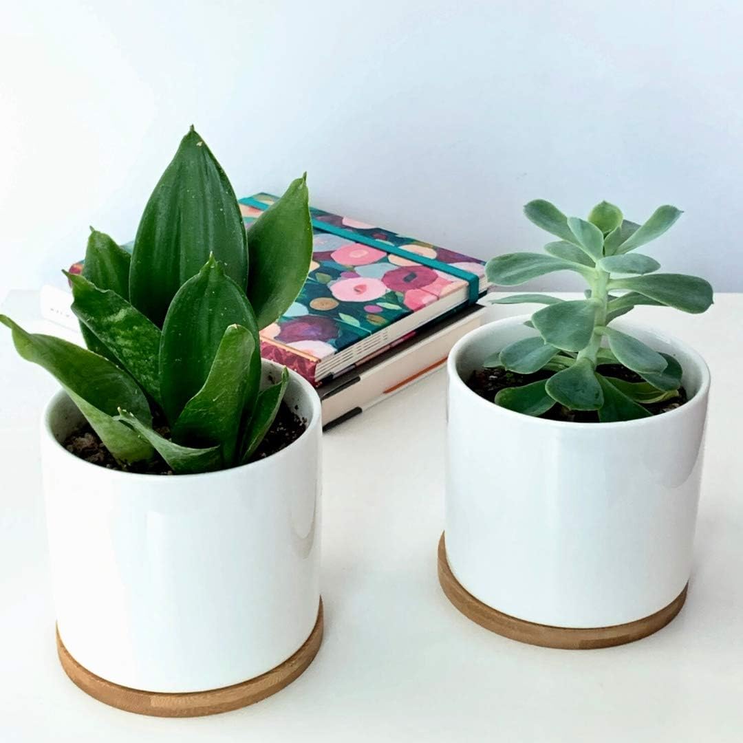 Juego de 2 macetas de Ceramica Blancas Redondas