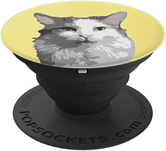 Amazon Com Grey Gray And White Fluffy Cat Art Coco Bobtail