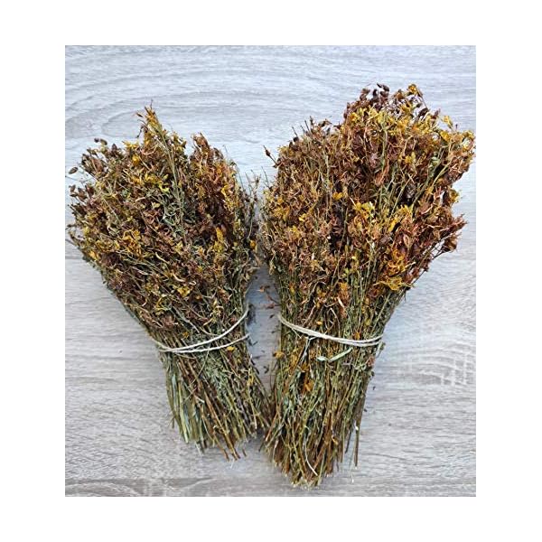 Wilder Johanniskraut-Kräutertee Ganze Bündel 220g - 1.95Kg Ernte Mai 2022 (1950 gramm) – Bild 4