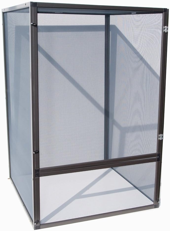 teacup pomeranian adults size