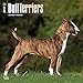 2017 Monthly Wall Calendar - Bull Terriers