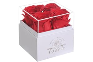 LOUVPY 4 Red Ideas for Her - Forever Flowers Roses in Acrylic Box - Preserved Rose Gift - Fresh Flowers Bouquet for Delivery Prime - Birthday Gifts for Women