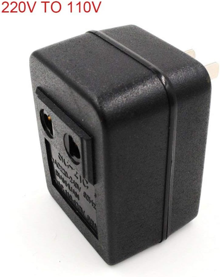 DDbrand AC 220V to 110V/110V to 220V AC Power Voltage Converter 20W Adapter Travel Transformer Regulator