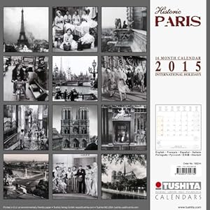 Historic Paris (Media Illustration)