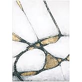 Uttermost Abstract Art In Gold And Black