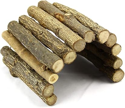 Yanhonin Aquarium Dekoration Reptilien Schildkrote Garnelen