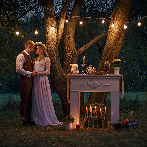 BRTLX-Commercial-Grade-Outdoor-Weatherproof-S14-LED-String-Lights-49Ft-with-15-Dropped-Sockets-15W-15Pcs-S14-LED-Edison-Filament-Bulb-Included-for-Patio-Courtyard-Porch-Wedding