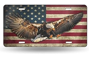 HANGWWZQ Eagle and American Flag Front License Plate Aluminum Decorative License Plates Funny Metal Car Plate 6"X12" Novelty Vanity Tag Cover with 4 Holes Car Decor Accessory