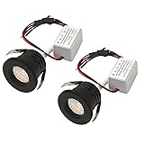 Scpopfer 2Pack 3W Mini Spotlights AC 110V 220V