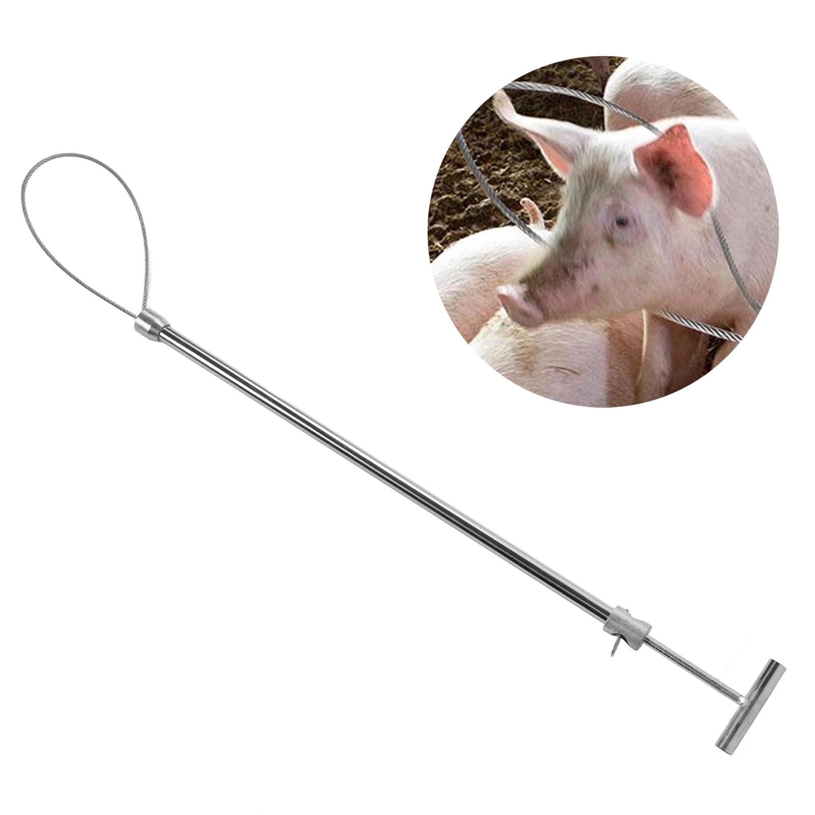 Zerodis Pig Holder Hog Catcher Pole Stainless Steel Animal Holder Catcher Tool Ideal for Pig and Dog Essential Farm Equipment for Animal Handling