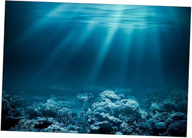 aquarium backgrounds canada