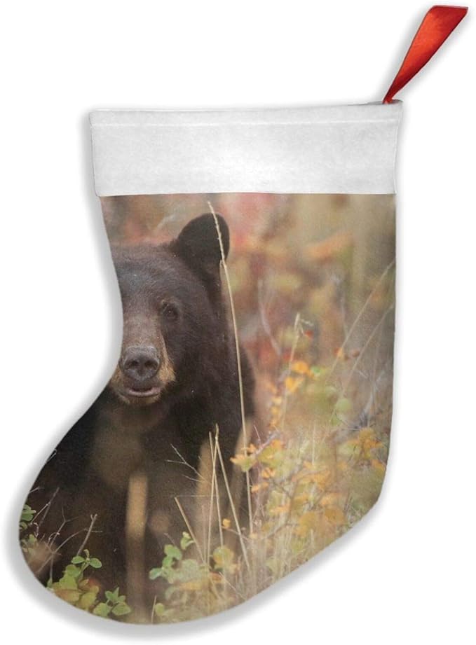 Gebrühter schwarzer Bär Bär Stürpen Weihnachtsstrümpfe Weihnachten