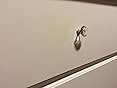 Amazon Com Delta Children Bentley Six Drawer Dresser