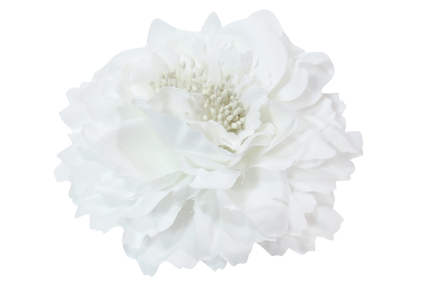 Amazon Com Skelapparel Bridal White Flower Hair Clip Pin Beauty