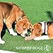 Pets&Goods Heavy Duty Rope Toy for Active Chewers, Washable 100% Cotton Dog Chew Toys - Tug of War, Pack of 9 Puppy Teething Toys (Small Breed, 9, Count)