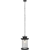 SAFAVIEH Lighting Collection Queren Black Outdoor Pendant Hanging Light Fixture (LED Bulb Included)