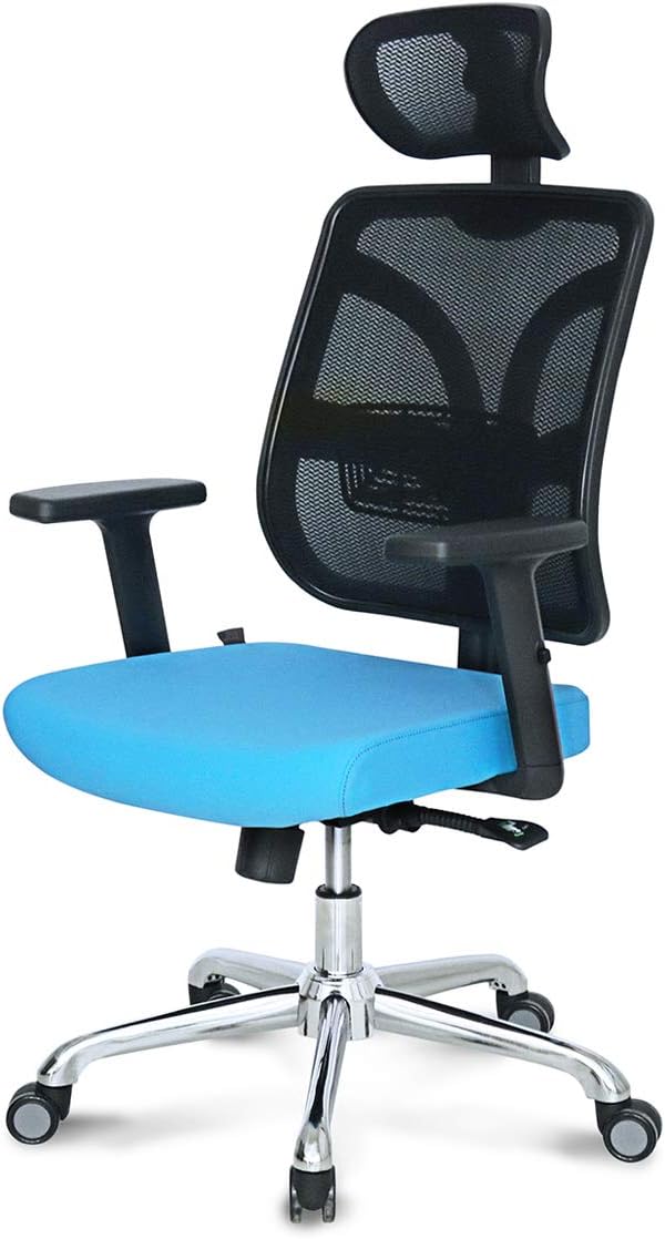 Hourseat Ergonomic Office Chair with Adjustable Headrest and Armrests High Back Mesh Executive Desk Chair with Back Lumbar Support 360° Rolling Swivel Chair for Home, Office, Study, Meeting