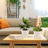 KINGLAKE 8Pcs 17cm White Plastic Plant Pots with Trays Indoor Outdoor view 5