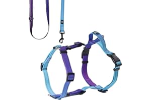 Roses&Poetry Dog Harness for Large Dogs, No-Pull Dog Harness and Leash Set Adjustable Reflective, Dog Vest Harnesses Comfort Padded Handle, Pet Harness for Training Outdoor Walking（Gsky-L