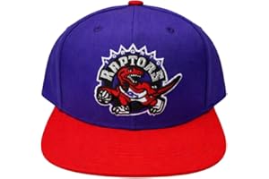 Mitchell & Ness Youth NBA Toronto Raptors 2.0 Two-Tone Snapback Hat - Purple/Red