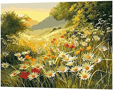 Diy oil painting paint by number Linen canvas Non-toxic environmental pigment living room Bedroom decoration 50x40cm (Morning sun flowers)