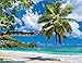 Simply Calendar 2017 Open Wall Calendar, 18.5-Inch x 10.5-Inch, #03- Sun Surf Sand