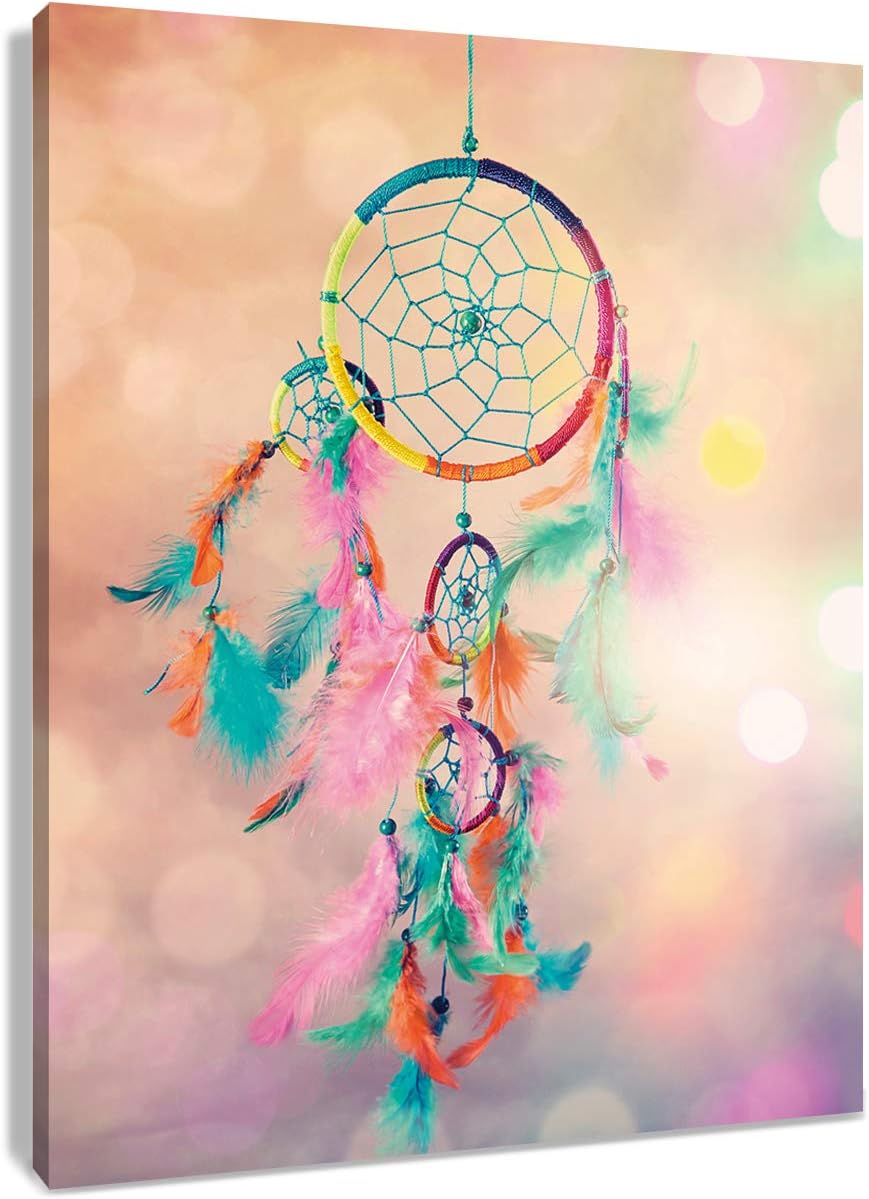 HVEST Dream Catcher Canvas Wall Art Fantasy Net with Colorful Feathers Artwork Bohemian Paintings for Living Room Bedroom Bathroom Wall Decor,Stretched and Framed Ready to Hang,16x20 inches
