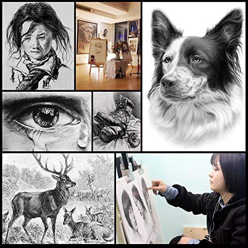 29 Pieces Professional Sketch & Drawing Art Tool Kit with Graphite Pencils, Charcoal Pencils, Paper Erasable Pen, Craft Knife-Lightwish (with Sketchbook, Canvas Rolling Pouch) - Thumbnail 7